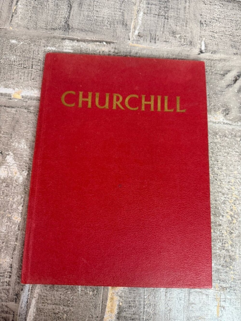 Churchill The Man of the Century a Pictorial Biography 1965 Hardcover
